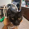 John Helms - @john.helms3 - TikTok