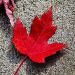 John Clark Helzer - @johnclarkhelzer - Instagram