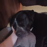 John Hemmings - @john.hemmings3 - Instagram
