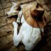 John Henao - Facebook