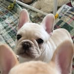 John Hendricks - @graceahendricks - Instagram