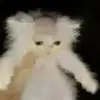 John Hendrickson - @john.hendrick23 - TikTok