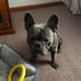 John Heeman - Facebook