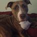 John Heinemann - Facebook