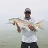 John Henneman - @johnhenneman - TikTok