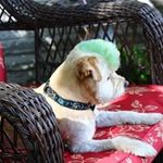 John Hennen - @shadow4513 - Instagram