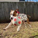 John Henning - @john_henningg - Instagram