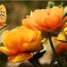 John Heraty - Facebook