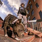 John Herrera - @johnherrera303 - Instagram
