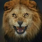 John Herrod - @johnherrod - Instagram