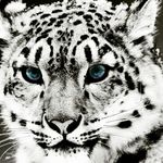 John Hesketh - @jbhesketh8 - Instagram