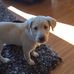 John Hessell - Facebook