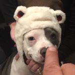 John Hettinger - @j.h.hettinger - Instagram