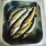 John Heuchert - @hijohn_123 - Instagram