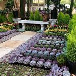 FloraZim Nursery John Hibbert - @florazimnursery - Instagram
