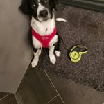 @john_hickenlooper - Instagram