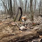 John Hicks - Facebook