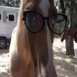 John Hicks - @john_hicks99 - Instagram
