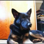 John Hiebert - @john.hiebert.87044 - Instagram