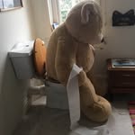 John Hingston - @hingston345 - Instagram