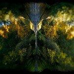 John Hinkle - @johnnyray0 - Instagram