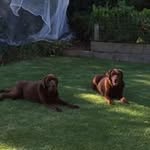 John Hinksman - @johnhinksman - Instagram
