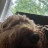 Johh Hintze - @johnhintze2 - TikTok