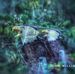 John William Hintz - Facebook