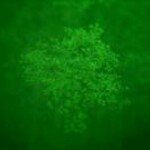 @johnhipple333 - Instagram