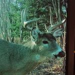 John Hirschfield - @johnhirschfield - Instagram