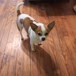 John Hise - @johnhenryhise - Instagram