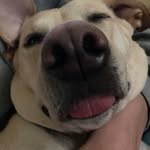 John Hizer - @john.hizer - Instagram