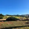 Johnson Hoapili - @hoapili13 - TikTok
