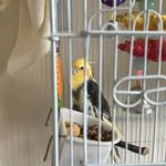 John - @john_hogarth7 - Instagram