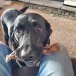 John Hogberg - @hogberg5510 - Instagram