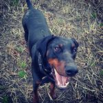 John Holford - @johnholford40 - Instagram