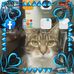 John Holford - Facebook