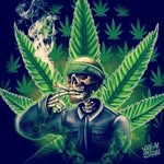 John hollifield - @j_hollifield - Instagram