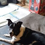 John Holroyd - @holroyd612 - Instagram