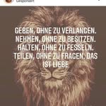 John Holste - @shyx1712 - Instagram