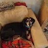 John Holste - @john.holste - TikTok