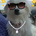 John Holstein - @holstein.john - Instagram