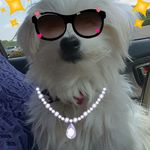 John Holstein - @holstein.john - Instagram