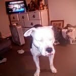 John Holzinger - @john.holzinger.148 - Instagram