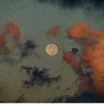 John Holzinger - @hildredsteck - Instagram
