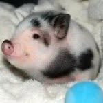 John Hommer Dy - @johnhommerdy - Instagram