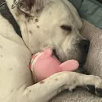 John P Honsberger - @snwsk8er - Instagram