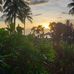 John P Honsberger - Facebook