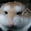 johnhooks101 - @johnhooks101 - TikTok