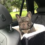 john hooper - @rockyboundfrenchies - Instagram